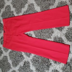Express dress pants